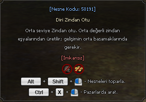 Nişan Özellik 4